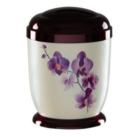 790 orchidea